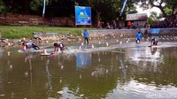 lomba digelar di tambak yang berisi lumpur tersebut dengan tiga lintasan.