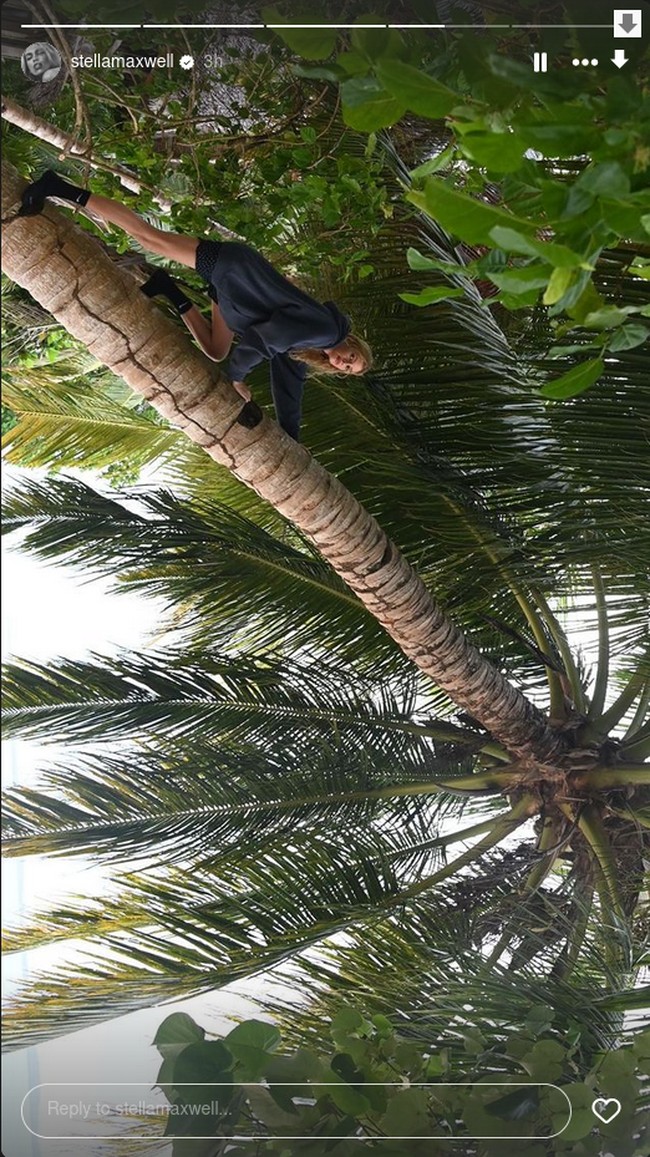 Sebelum bertolak ke Prancis, ia mengunggah foto lain yang menampilkannya memanjat pohon, tampaknya diambil di Mentawai. Foto: Instagram @stellamaxwell