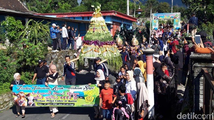 Tradisi arak-arakan sapi dalam syawalan di Dukuh Mlambong, Desa Sruni, Kecamatan Musuk, Kabupaten Boyolali, Rabu (17/4/2024).
