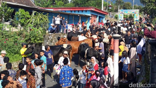 Tradisi arak-arakan sapi dalam syawalan di Dukuh Mlambong, Desa Sruni, Kecamatan Musuk, Kabupaten Boyolali, Rabu (17/4/2024).