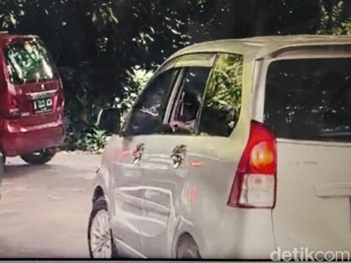 Ketidakhati-hatian Pengunjung Membahayakan Nyawa di Taman Safari: Jendela Mobil Dibuka di Area Kandang Singa