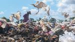 Usai Lebaran, Volume Sampah di Kendari Mencapai 270 Ton Per Hari