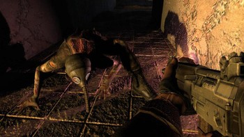 Stalker series juga bisa detikers jajal. Game ini dikembangkan oleh GSC Game World yang bisa dimainkan di PS4, Xbox One, Xbox X/S, dan PC. Foto: (Steam).