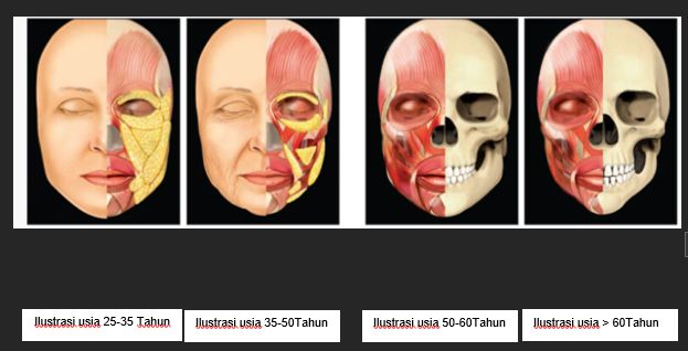 adv dl beauty adv dl beauty