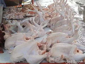 H+8 Lebaran, Harga Daging Ayam Masih Bertahan Rp 44 Ribu di Tasik