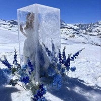 Pernikahan tersebut seperti sebuah dongeng yang menjadi nyata. Pengantin wanita keluar dari balok es raksasa. Foto: Dok. Instagram/@davidbastianoni