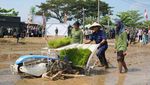 ID Food-Kostrad Lakukan Panen dan Penanaman Padi Tahap II di Lahan Strategis
