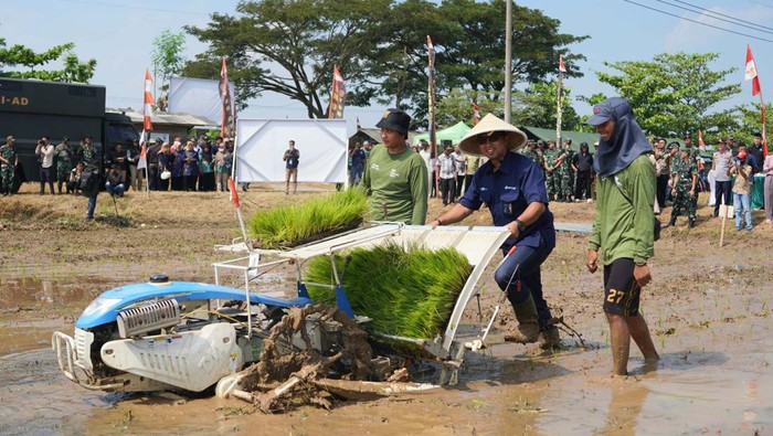ID Food melakukan kolaborasi dengan Kostrad. Mereka pengembangan budi daya padi di lahan Ketahanan Pangan Kostrad yang berlokasi di Subang.