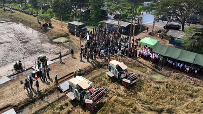 ID Food-Kostrad Lakukan Panen dan Penanaman Padi Tahap II di Lahan Strategis