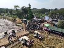 ID Food-Kostrad Lakukan Panen dan Penanaman Padi Tahap II di Lahan Strategis