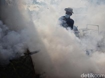 Kemenkes Buka Data, RI Cetak Rekor Terendah Kematian karena DBD