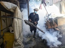 Kasus DBD Naik Drastis, Fogging Digencarkan