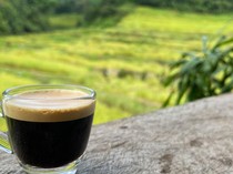 Tanpa Kafein, Kopi Beras Juga Nikmat dan Menyehatkan