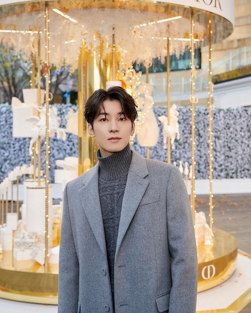 Wonwoo, Member Seventeen K-Pop.