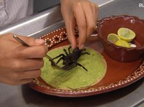 Ngeri Lezat! 5 Olahan Tarantula yang Menyeramkan Tapi Enak