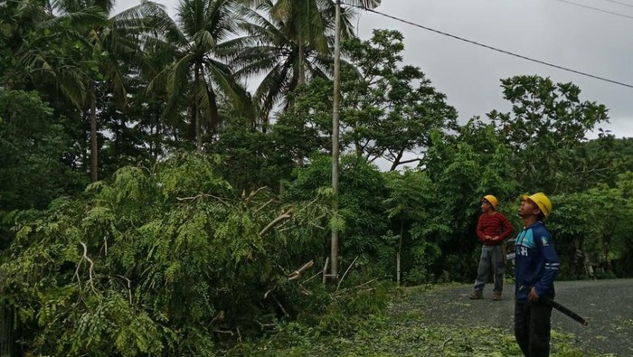 Perampalan atau pemangkasan pohon di Desa Balang Burung, Kecamatan Buki, Kabupaten Kepulauan Selayar, Rabu (17/4/2024).