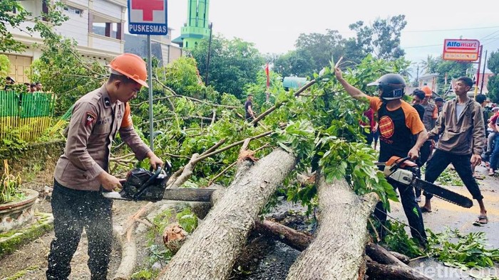 Pohon tumbang di Jalan Poros Bone-Sinjai beberapa saat lalu yang ditangani oleh Brimob.