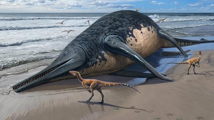 Reptil Laut Purba Ichthyotitan severnensis