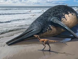 Tak Hanya Dinosaurus yang Tumbuh dengan Cepat pada Zaman Purba, Hewan Ini Juga