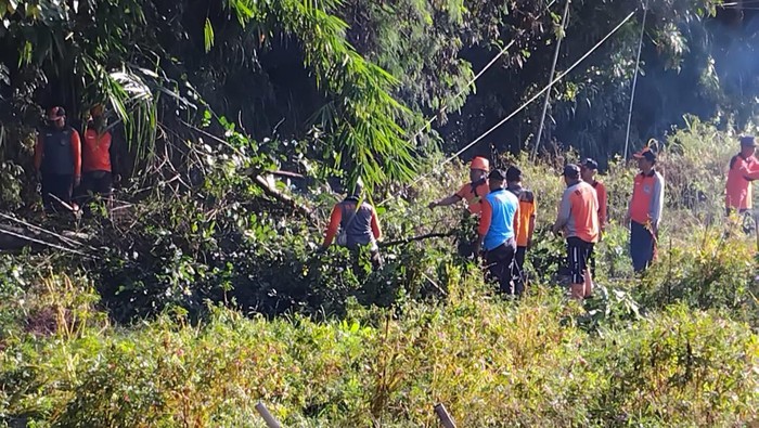 TRC BPBD Klungkung melakukan penanganan pohon tumbang timpa label listrik di Tihingan, Kamis (18/4/2024). (dok BPBD Klungkung)