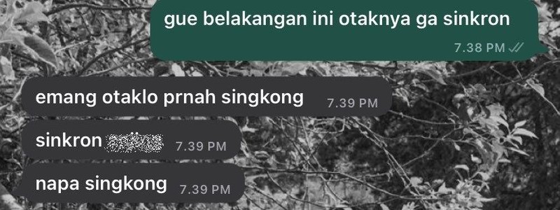 Auto correct kadang suka kasih suggestion yang nggak sesuai dan ending-nya bikin ngakak. Kayak chat di berikut ini.