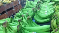 Pisang berkulit hijau ini belum matang, tetapi sudah dipajang untuk diperjualbelikan di salah satu restoran. Foto: Pool/Site
