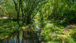Bak Lukisan, Taman Ini Penuh dengan Bunga Warna-warni