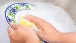 Kenali 9 Spot Paling Jorok di Dapur, Potensi Jadi Sarang Kuman