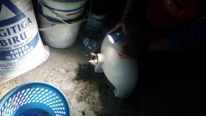 Evakuasi kucing di Malang yang terjebak di wastafel