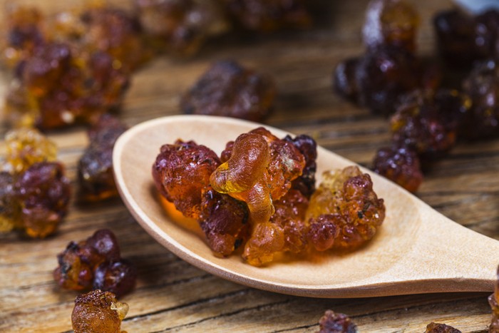 5 Fakta Peach Gum yang Populer Jadi Topping Dessert