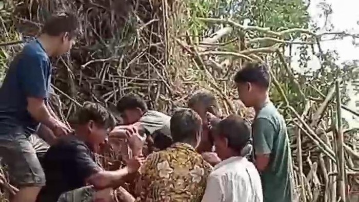 Jenazah Tain ditemukan tersangkut ranting pohon di daratan.