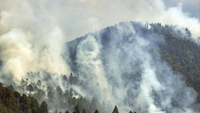 Penampakan Asap Akibat Kebakaran Hutan di Meksiko Kebakaran melanda hutan di El Capulin, Negara Bagian Morelos, Meksiko, Kamis (18/4/2024). kebakaran menimbulkan asap yang membubung ke angkasa.