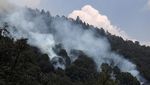 Penampakan Kepulan Asap Akibat Kebakaran Hutan di Meksiko