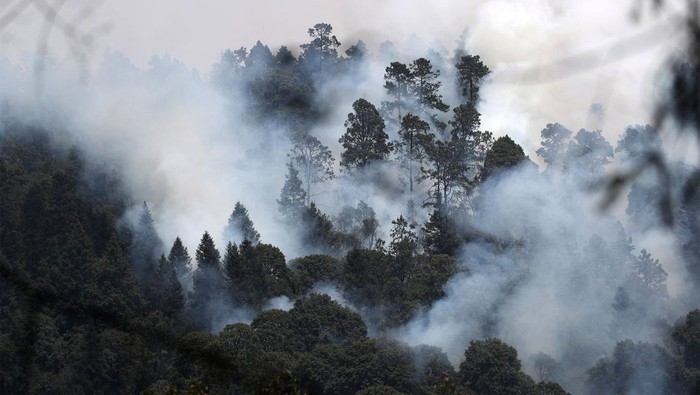 Penampakan Asap Akibat Kebakaran Hutan di Meksiko Kebakaran melanda hutan di El Capulin, Negara Bagian Morelos, Meksiko, Kamis (18/4/2024). kebakaran menimbulkan asap yang membubung ke angkasa.