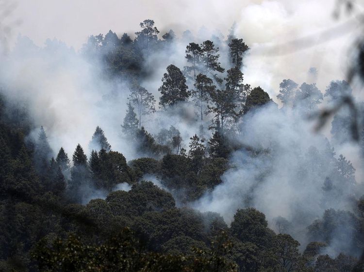 Penampakan Kepulan Asap Akibat Kebakaran Hutan di Meksiko