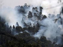 Penampakan Kepulan Asap Akibat Kebakaran Hutan di Meksiko