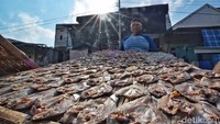Warga sedang melakukan proses pengerikan ikan di kawasan Kelurahan Nambangan, Kecamatan Bulak.