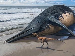 Fosil Reptil Laut Raksasa Sebesar Bus Ditemukan di Pantai Inggris