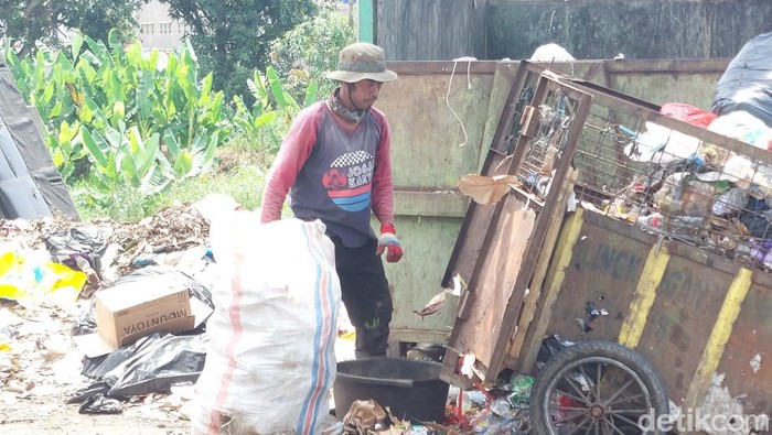 Mustofa saat bekerja mengangkut sampah di TPS.