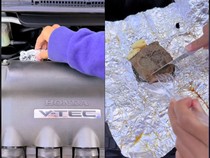 Pria Ini Masak Steak di Mesin Mobil yang Menyala, Begini Hasilnya!