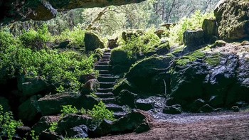 Para ilmuwan sekarang menyadari bahwa mineral asin yang berharga di gua tersebut, yang menjadikan tempat ini menarik dikunjungi gajah, juga kerbau, antelop, macan tutul, dan hyena. Gua Kitum kemudian menjadi inkubator penyakit zoonosis, penyakit yang menyebar melalui perantara hewan. Foto: via Daily Mail