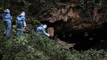 United States Army Medical Research Institute of Infectious Diseases (USAMRIID) meluncurkan ekspedisi ke Gua Kitum setelah terjadi insiden tahun 1980-an dengan mengenakan pakaian Racal, yakni pakaian khusus seperti astronaut. Foto: via Daily Mail