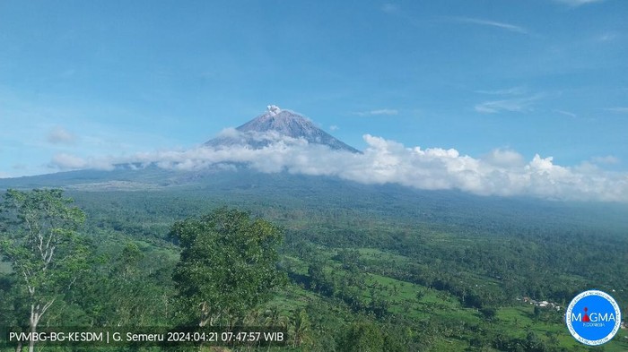 gunung semeru erupsi Minggu, 21 April 2024, pukul 07:47 WIB dengan tinggi kolom abu teramati ± 600 meter