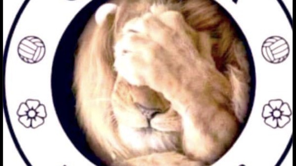 Meme Chelsea Kandas: Si Singa hingga Nicolas Jackson pun Kena Ledek