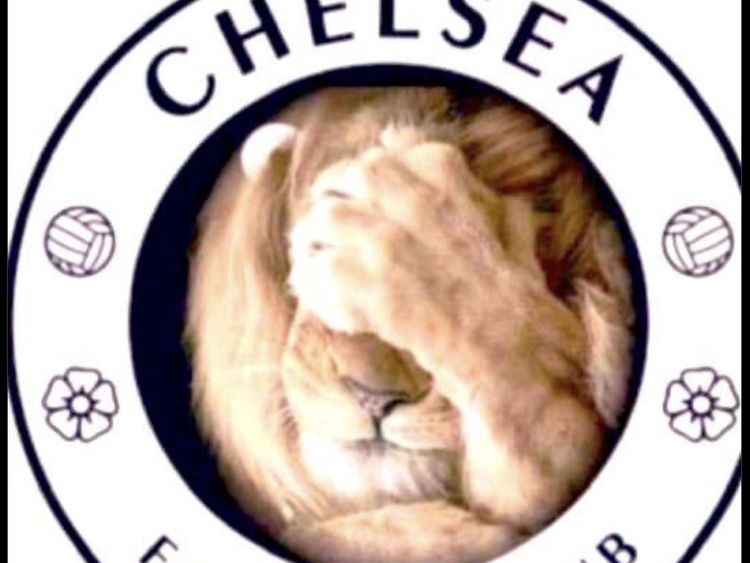 Meme Chelsea Kandas: Si Singa hingga Nicolas Jackson pun Kena Ledek