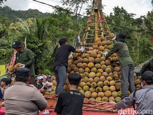 Penghasil Terbanyak se-Indonesia, Ini 5 Jenis Durian di Jawa Timur