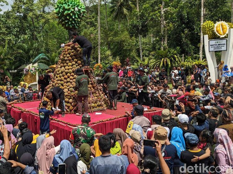 Potret Kemeriahan Kenduri Tumpeng Durian Raksasa di Trenggalek