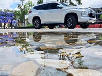 Apes Ketipu Beli Pajero Sport Bekas, Baru Ketahuan Gara-gara Ini