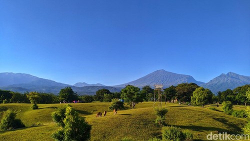 Pesona savana Lendang Dangar di kaki Gunung Rinjani, Lombok, NTB.