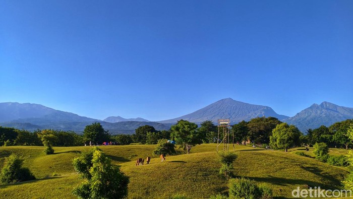 Pesona savana Lendang Dangar di kaki Gunung Rinjani, Lombok, NTB.